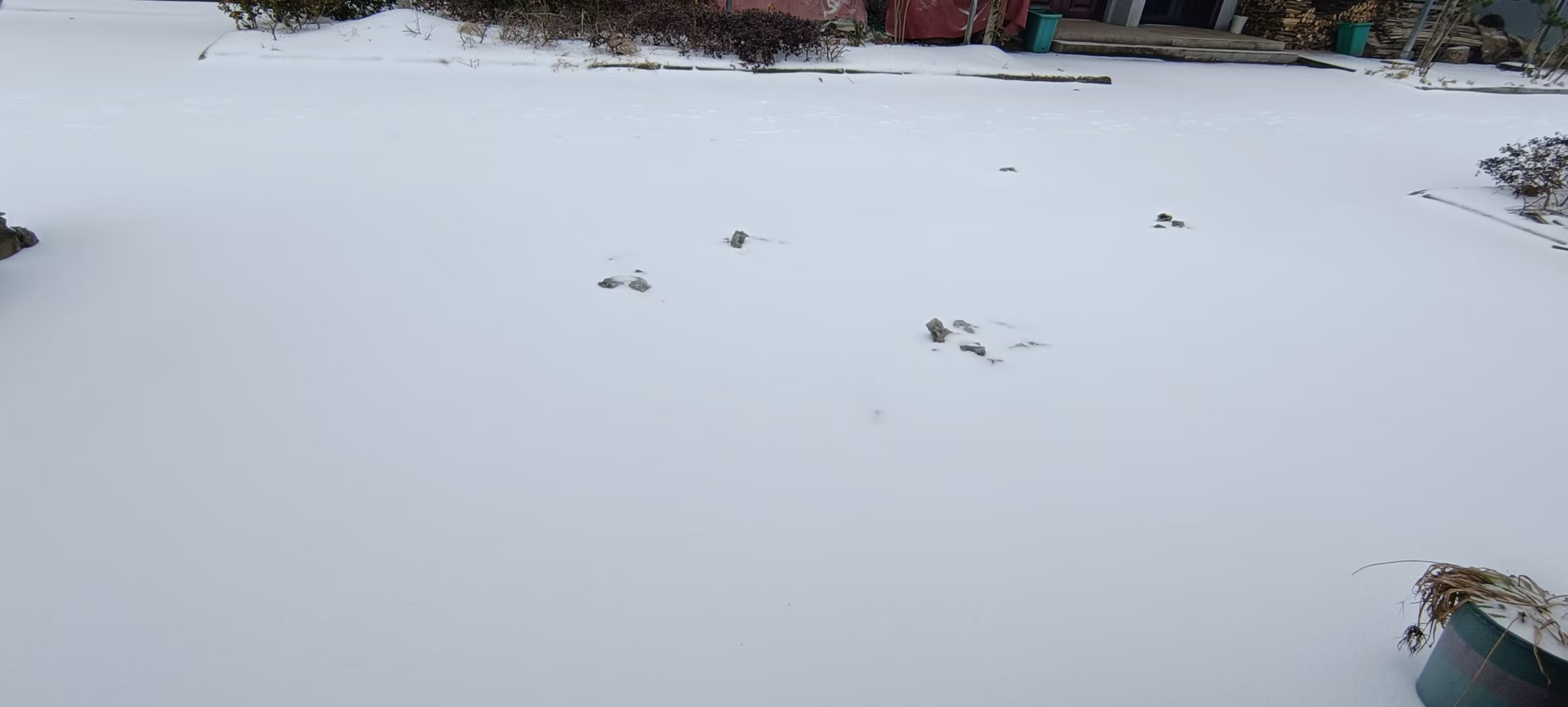 白雪皑皑